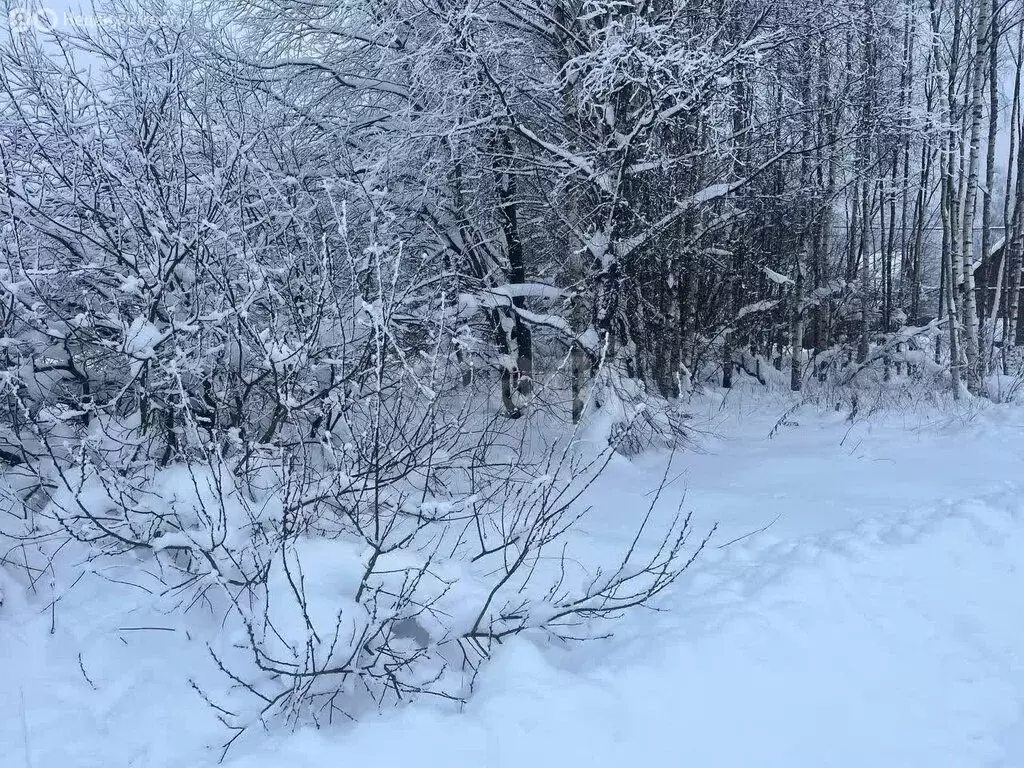 Участок в Сергиево-Посадский городской округ, ТСН Никульское (6 м) - Фото 2