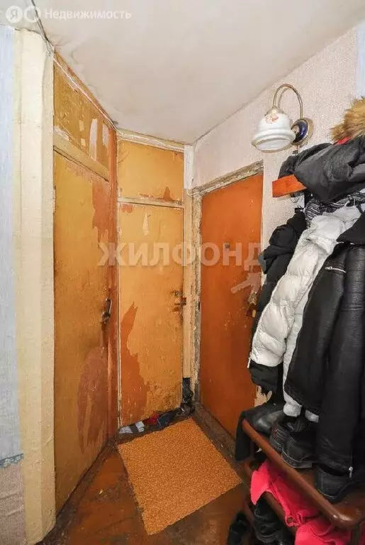 1-комнатная квартира: Новосибирск, улица Палласа, 6 (28.7 м) - Фото 1