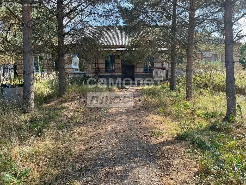 Помещение свободного назначения (237.1 м) - Фото 2