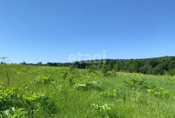 Участок в Пермский край, Пермский муниципальный округ, д. Пашня  ... - Фото 2