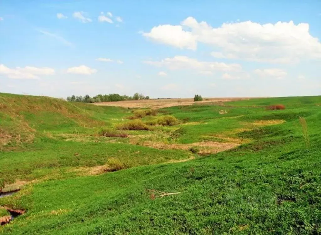 Участок в Владимирская область, Александровский район, д. Ям  (660.0 ... - Фото 1