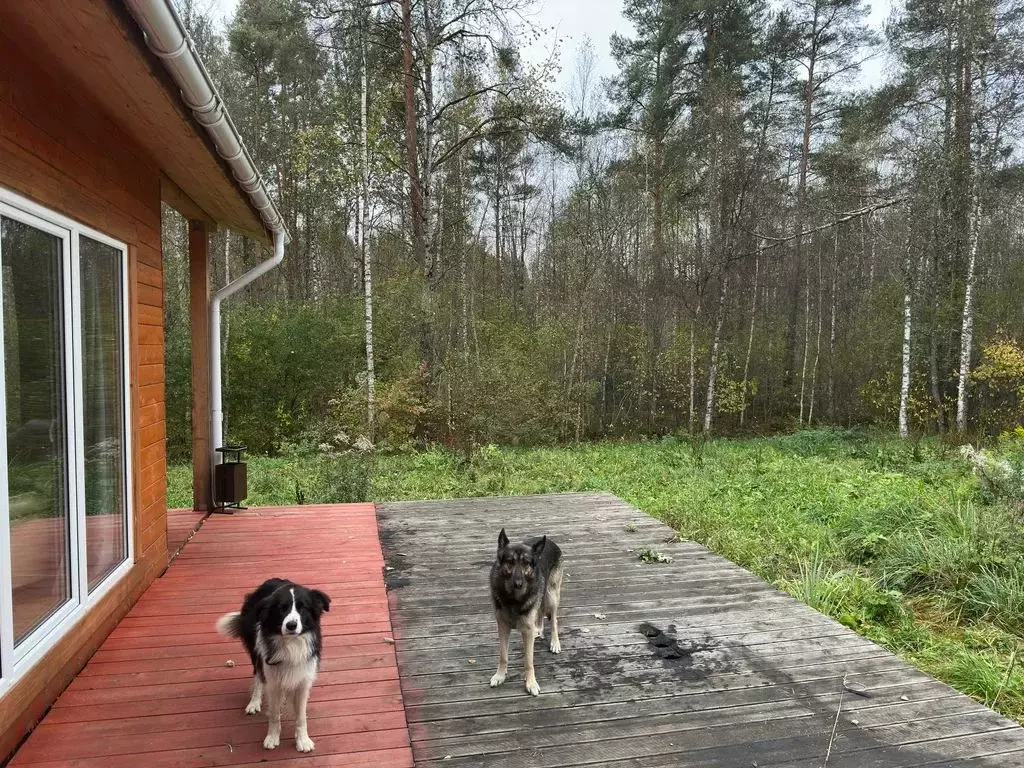 Дом в Ленинградская область, Всеволожский район, Куйвозовское с/пос, ... - Фото 1