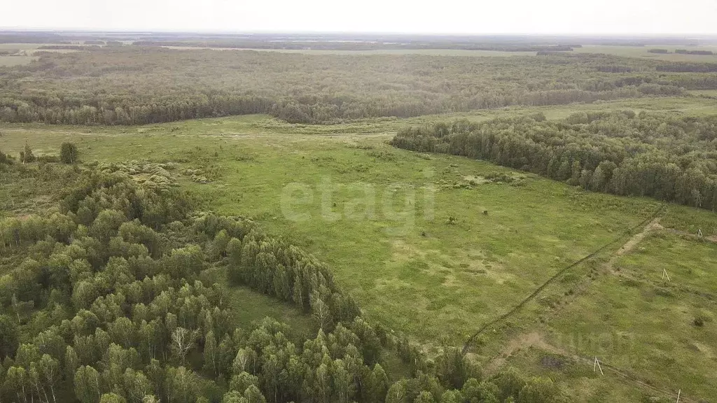 Участок в Тюменская область, Тюменский район, с. Кулига  (11.6 сот.) - Фото 0
