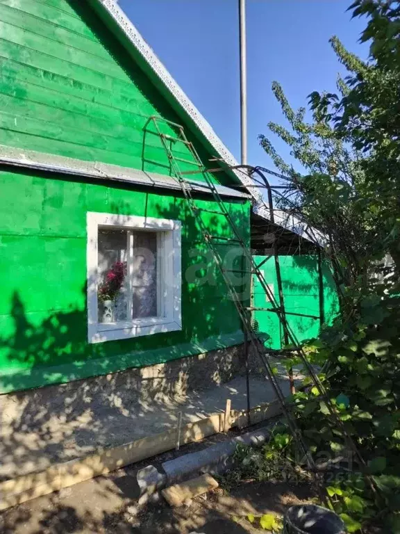Дом в Саратовская область, с. Курдюм ул. Курдюмская, 9 (57 м) - Фото 2