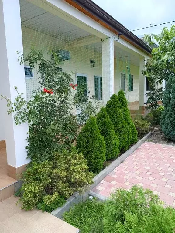 Комната Краснодарский край, Геленджик городской округ, с. Кабардинка ... - Фото 1