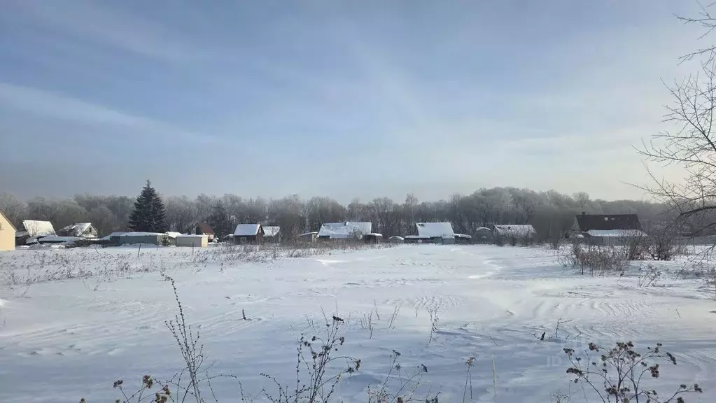 Участок в Московская область, Домодедово городской округ, с. Тишково  ... - Фото 2