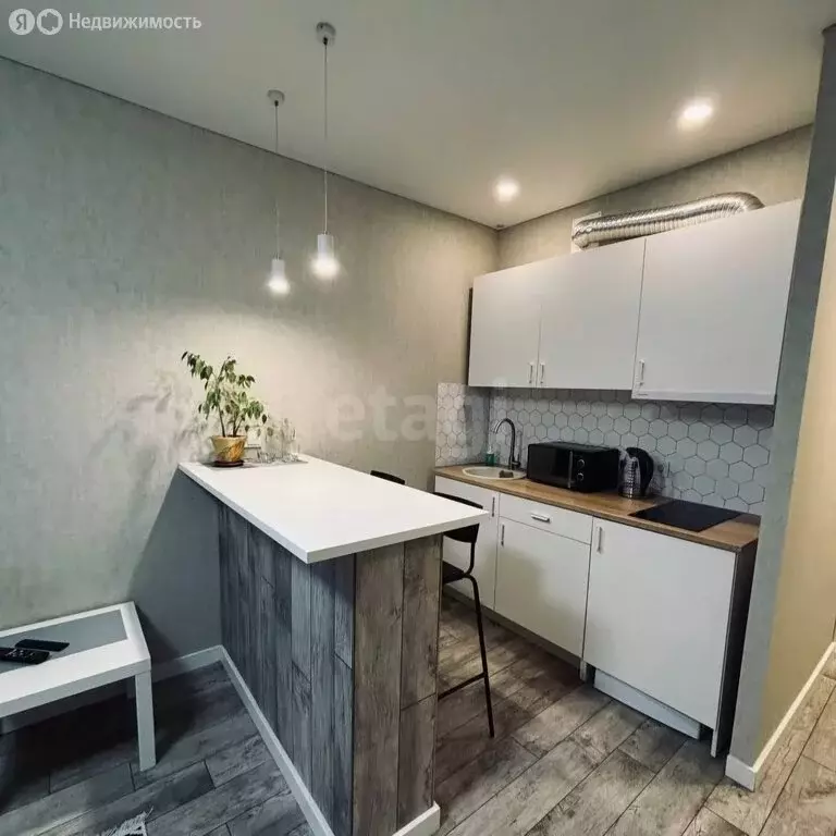 Квартира-студия: Тамбов, Свободная улица, 4к1 (23.9 м) - Фото 2