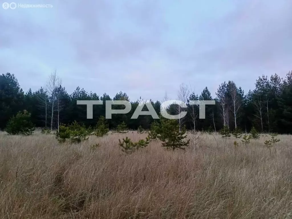 Участок в Рамонский район, Новоживотинновское сельское поселение, СНТ ... - Фото 2