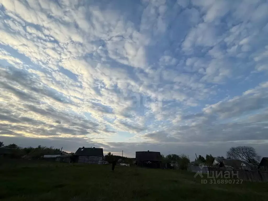 Участок в Брянская область, Трубчевский район, Юровское с/пос, д. ... - Фото 2