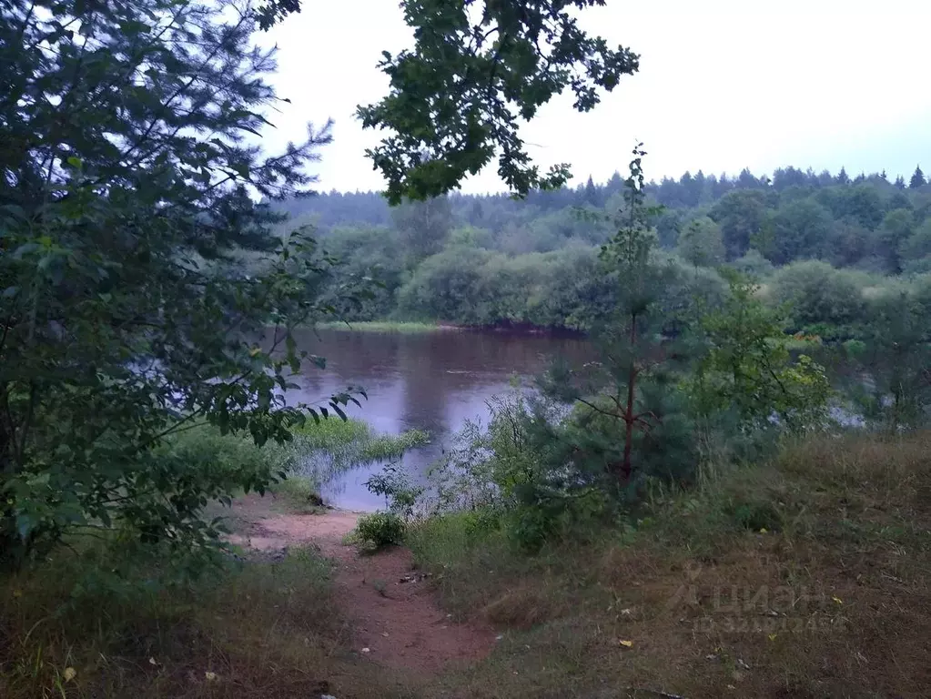 Дом в Ленинградская область, Лужский район, Толмачево городской ... - Фото 2