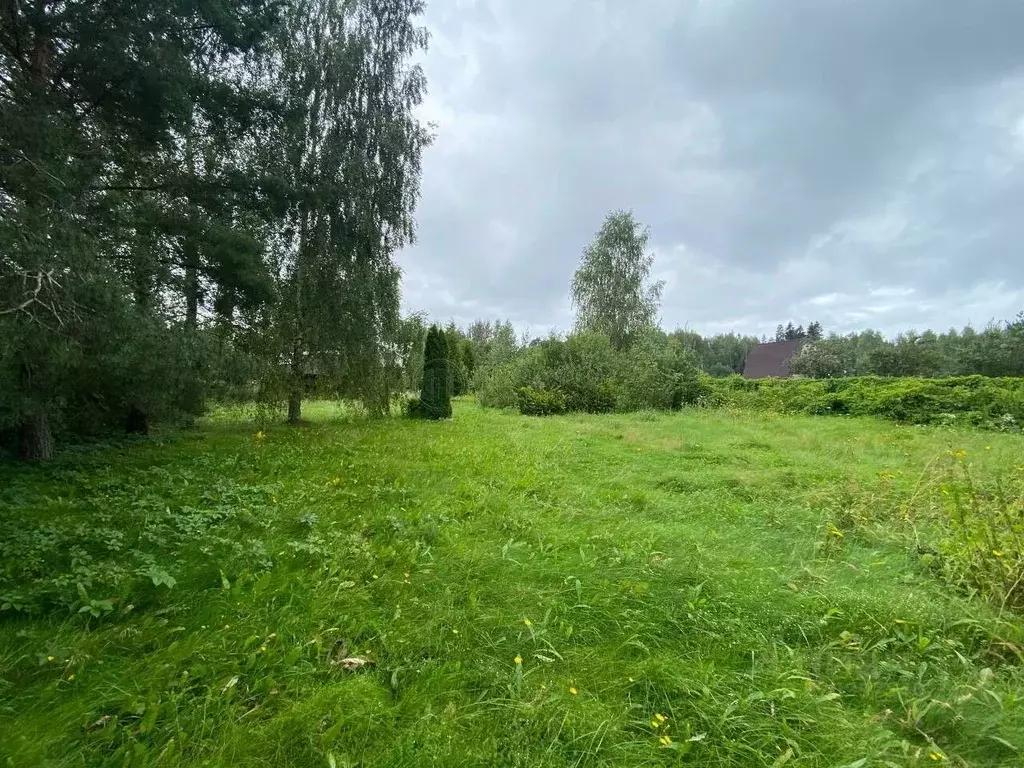 Участок в Московская область, Одинцовский городской округ, Улитино СНТ ... - Фото 1