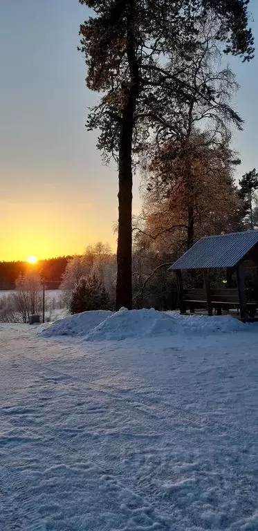 Дом в Карелия, Сортавальский муниципальный округ, пос. Раутакангас 1 ... - Фото 2