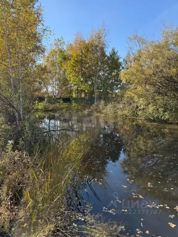 Участок в Хабаровский край, Хабаровский район, Тополевское с/пос, ... - Фото 1
