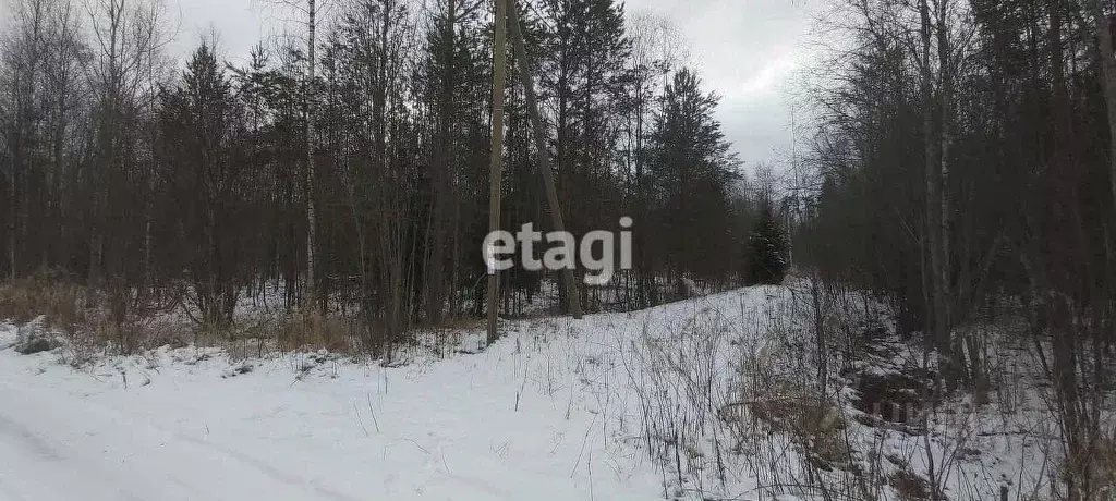 Участок в Ленинградская область, Приозерский район, Ларионовское ... - Фото 0