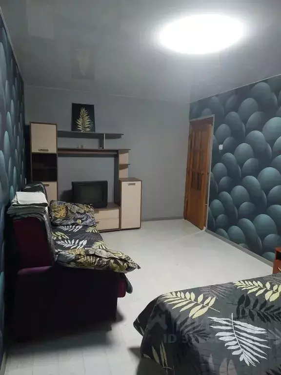 1-к кв. Нижегородская область, Павлово ул. Чапаева, 58 (33.0 м) - Фото 1