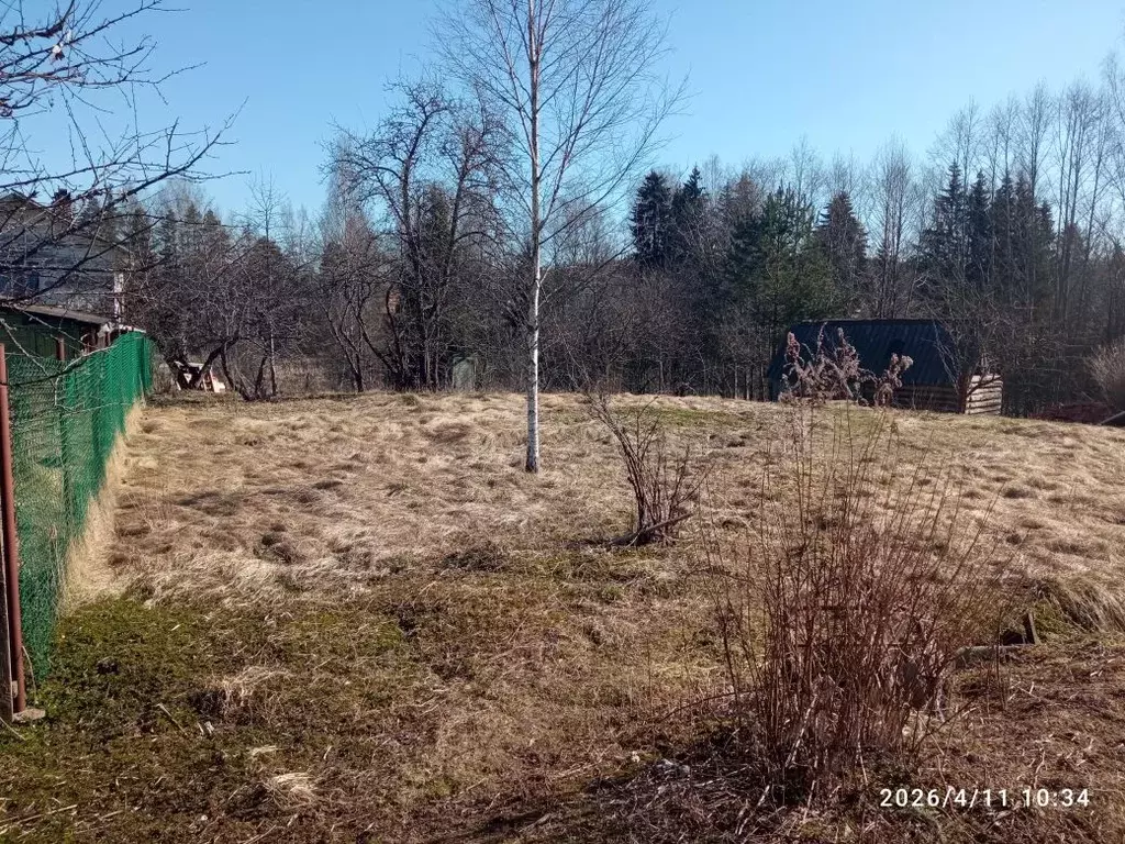 Участок в Ленинградская область, Лужский район, Толмачевское городское ... - Фото 1