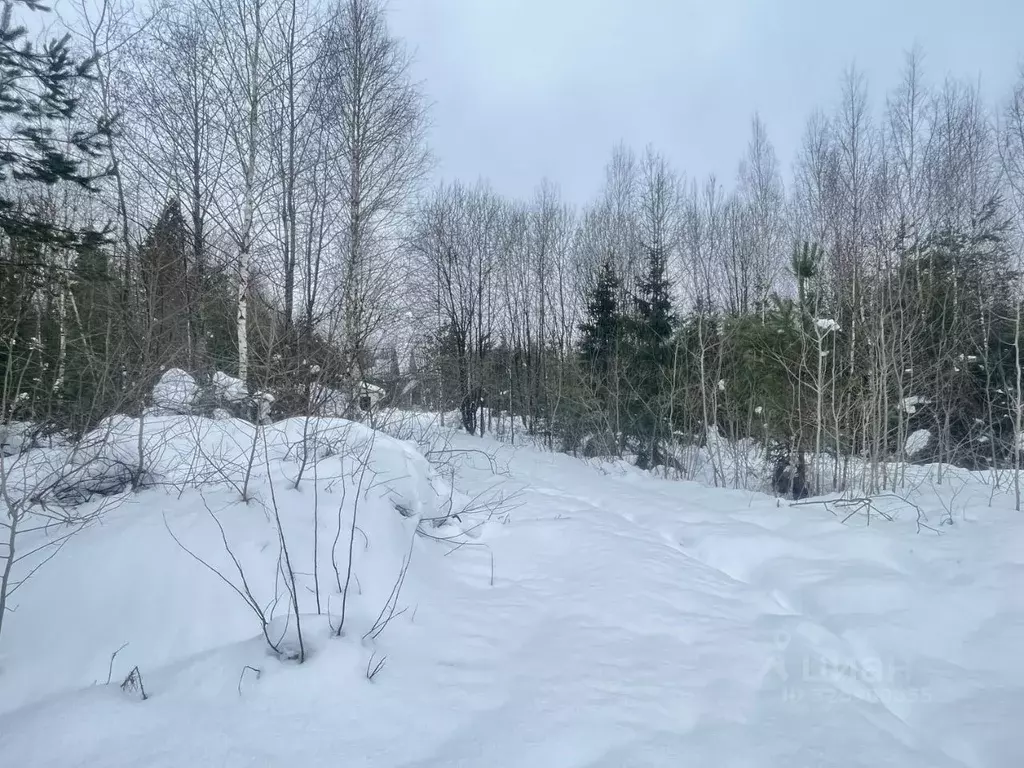 Участок в Московская область, Одинцовский городской округ, Оленев и К ... - Фото 1