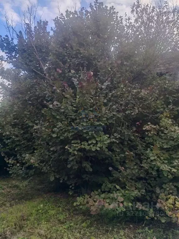 Участок в Москва пос. Внуково, ул. 1-я Внуковская (17.0 сот.) - Фото 2