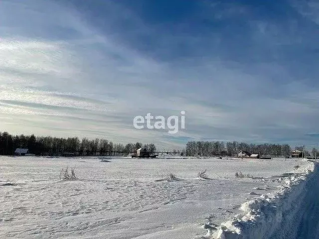 Участок в Татарстан, Лаишевский район, с. Сокуры ул. Державина (6.0 ... - Фото 0