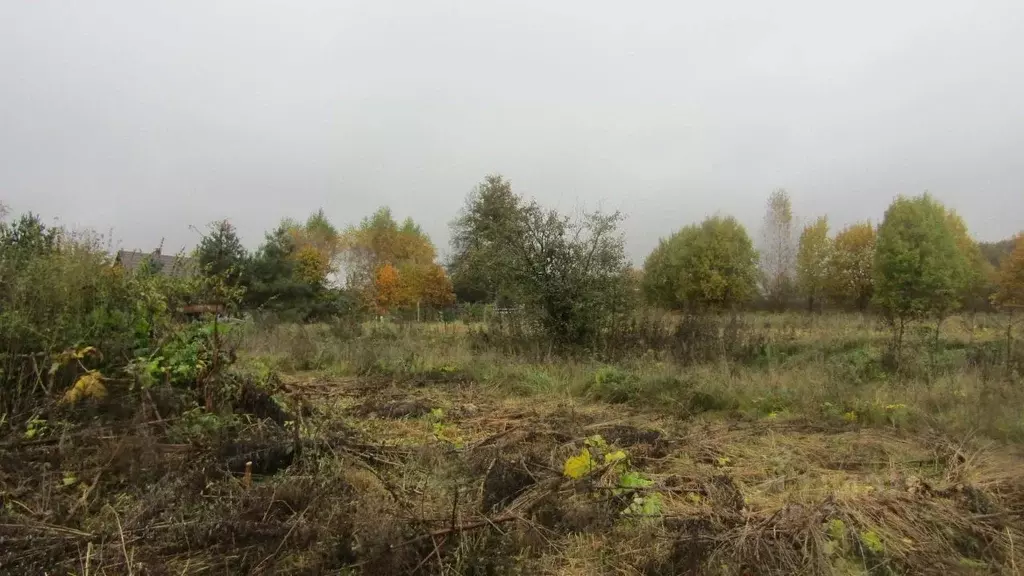 Участок в Московская область, Рузский муниципальный округ, д. ... - Фото 1