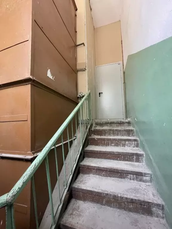 Помещение свободного назначения в Новосибирская область, Новосибирск ... - Фото 2