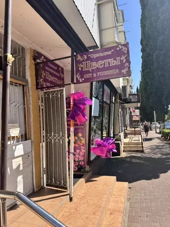 Помещение свободного назначения в Краснодарский край, Туапсе ул. ... - Фото 1