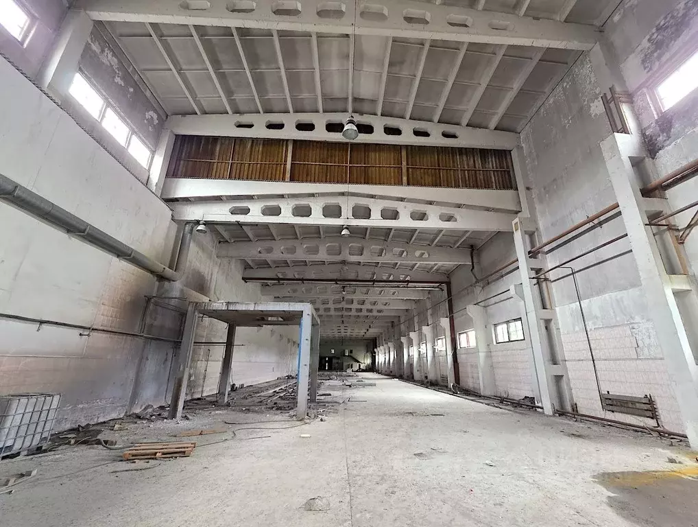 Производственное помещение в Ленинградская область, Выборгский район, ... - Фото 0