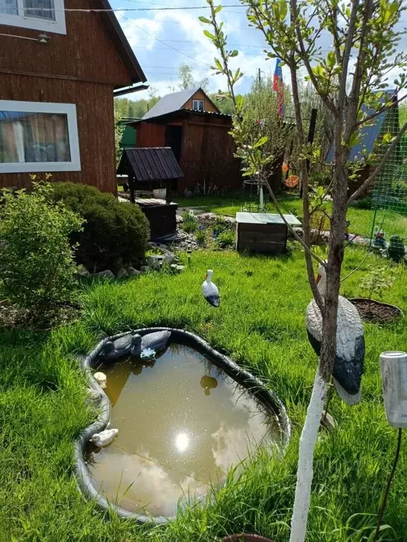 Дом в Новосибирская область, Новосибирск Кедр СНТ,  (37 м) - Фото 1