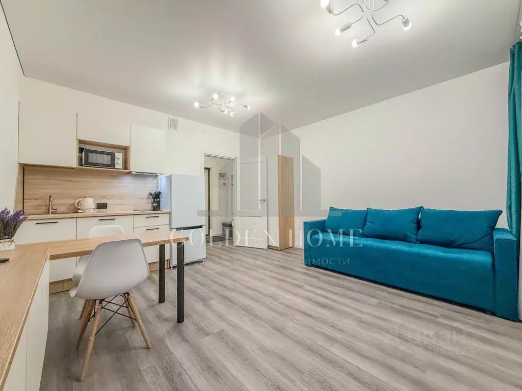 Студия Санкт-Петербург Светлановский просп., 14к1 (27.0 м) - Фото 1