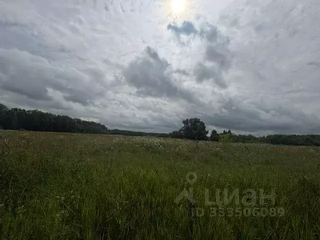 Участок в Московская область, Воскресенск городской округ, д. ... - Фото 1