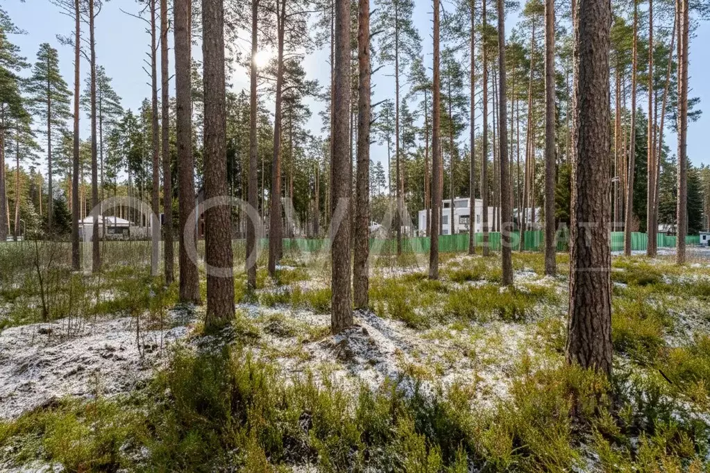 Участок в Санкт-Петербург, Санкт-Петербург, Зеленогорск ул. Танкистов ... - Фото 2