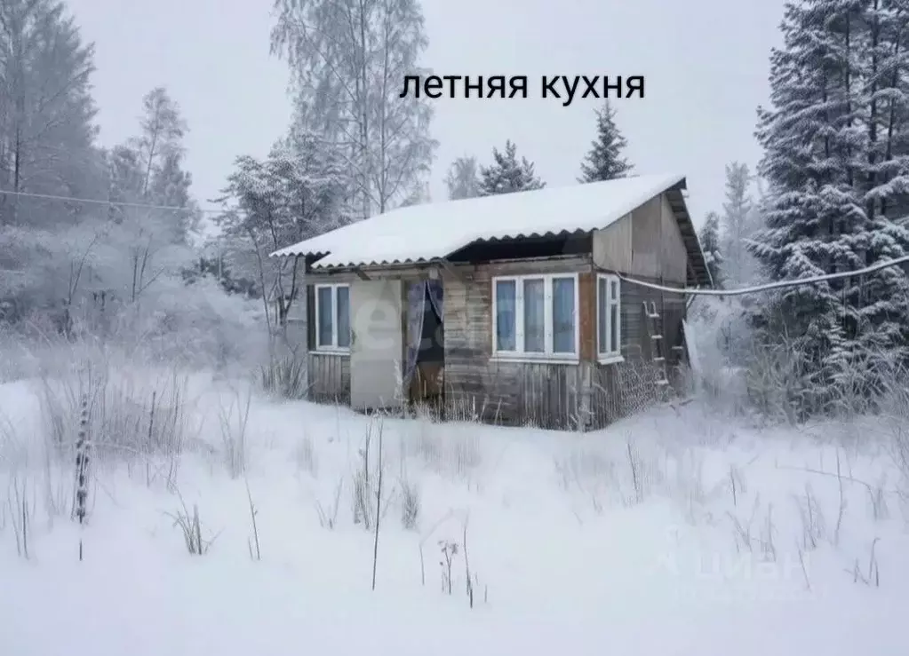 Участок в Ленинградская область, Киришский район, Кусинское с/пос, ... - Фото 2