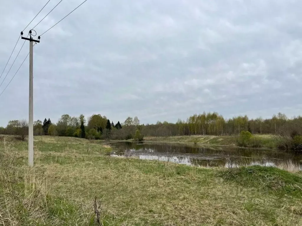 Участок в Московская область, Волоколамский муниципальный округ, д. ... - Фото 1