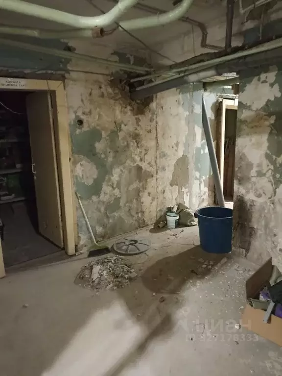 Помещение свободного назначения в Красноярский край, Красноярск ... - Фото 2