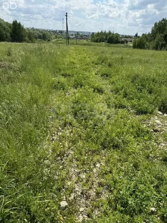 Участок в Тульская область, городской округ Тула, деревня Барсуки ... - Фото 1