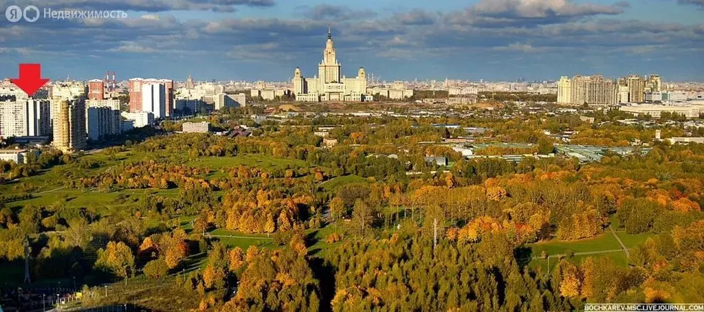 3-комнатная квартира: Москва, Мичуринский проспект, 29к1 (75 м) - Фото 0