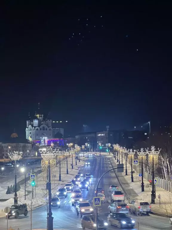 2-к кв. Сахалинская область, Южно-Сахалинск ул. А.О. Емельянова, 1 ... - Фото 1