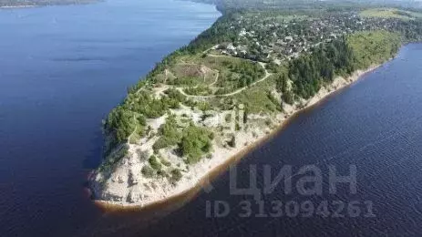 Участок в Пермский край, Добрянский городской округ, д. Залесная ул. ... - Фото 0