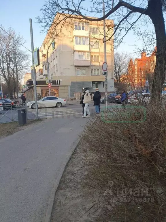 Торговая площадь в Калининградская область, Калининград ул. Александра ... - Фото 1