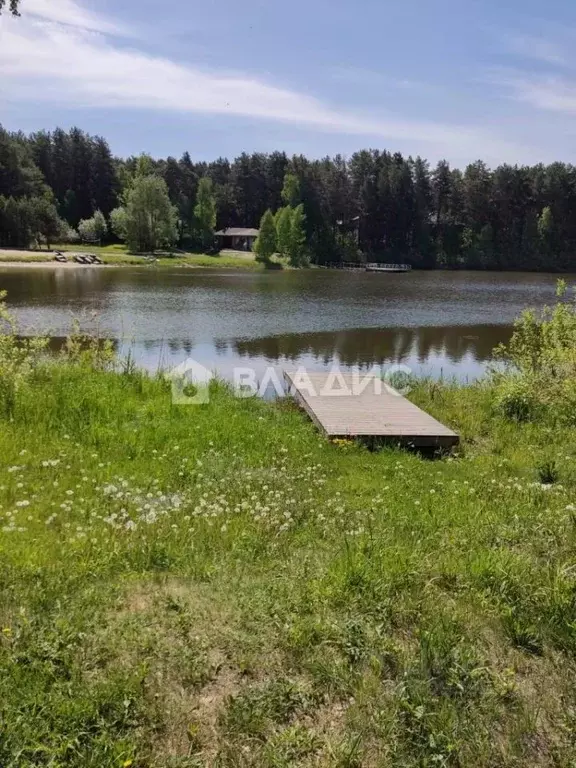 Участок в Новосибирская область, Колыванский район, Приобье СНТ ул. ... - Фото 1