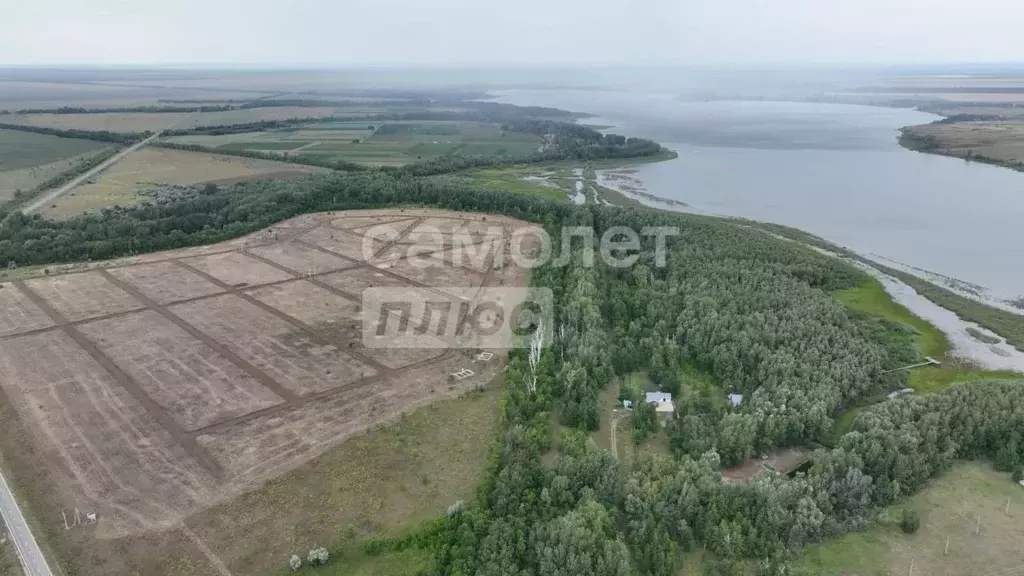 Участок в Оренбургская область, Илекский район, пос. Димитровский  ... - Фото 2