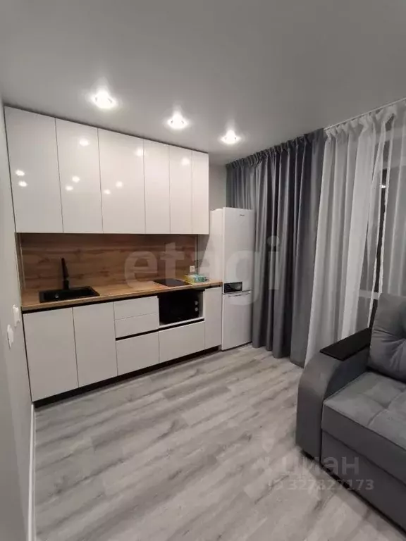 Студия Амурская область, Благовещенский район, с. Чигири ул. ... - Фото 1