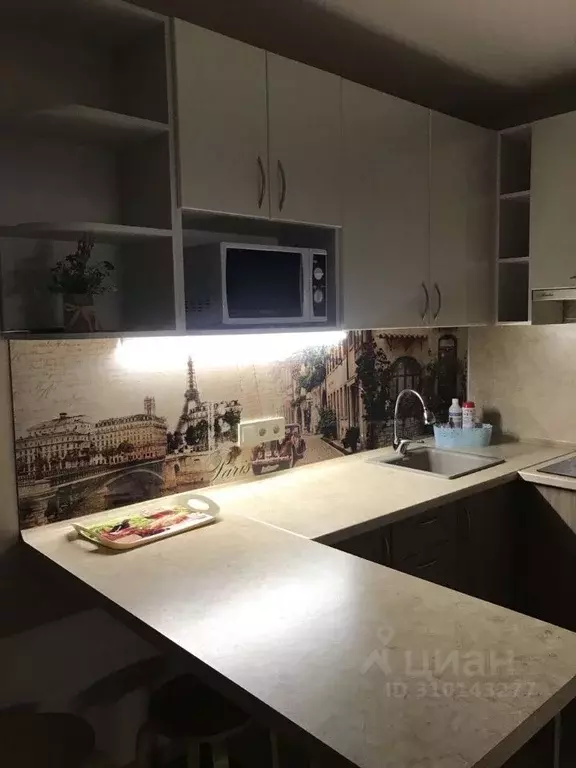 Студия Удмуртия, Ижевск Нижняя ул., 2 (28.0 м) - Фото 2