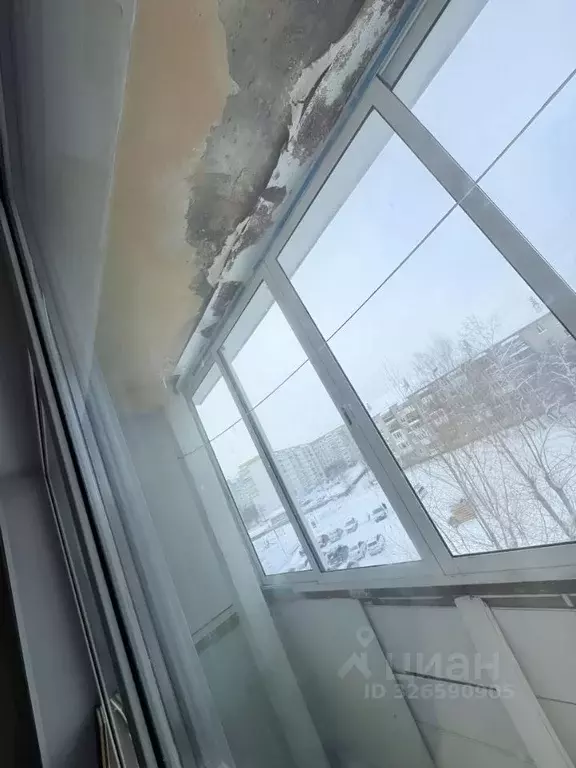 3-к кв. Пермский край, Пермь Магистральная ул., 100А (60.0 м) - Фото 2