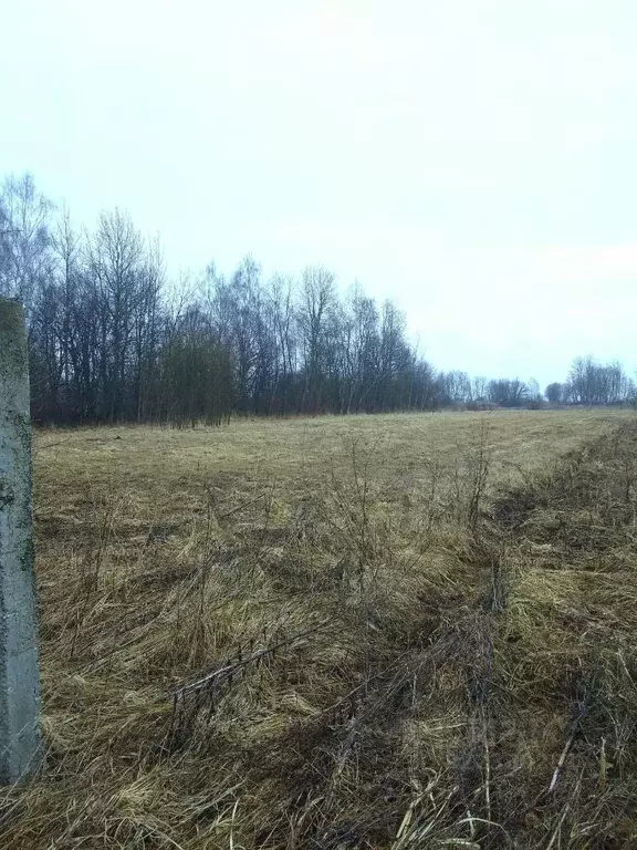 Дом в Калужская область, Перемышльский муниципальный округ, Сильково ... - Фото 1