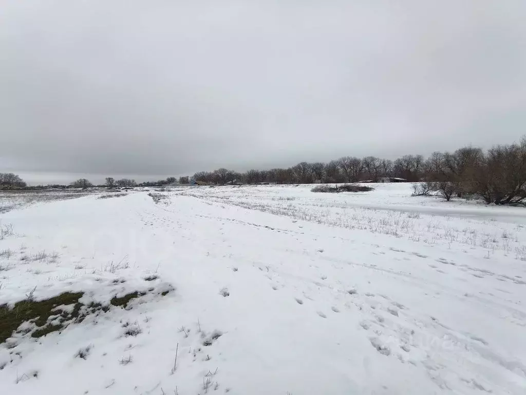 Участок в Волгоградская область, Среднеахтубинский район, Фрунзенское ... - Фото 2
