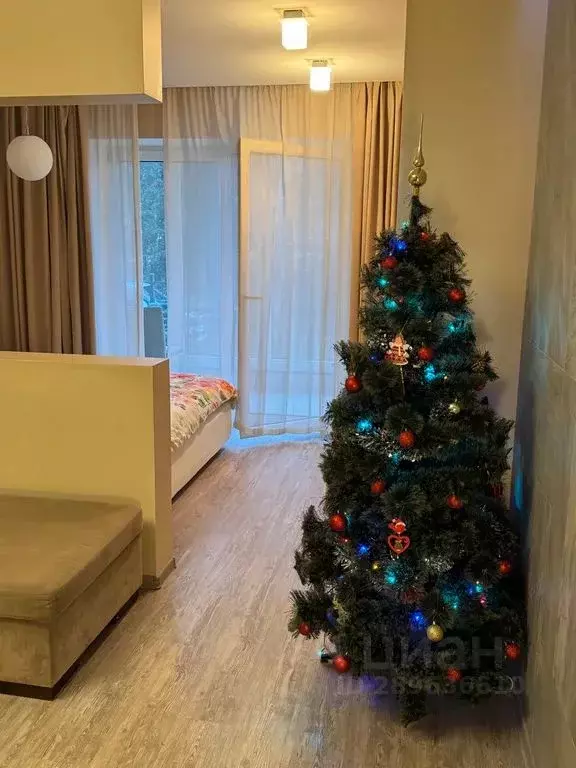 Студия Калининградская область, Зеленоградск ул. Володарского, 28А ... - Фото 0