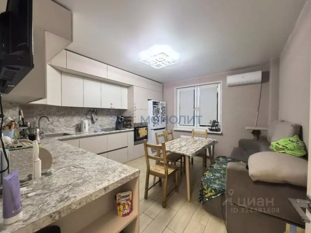 2-к кв. Нижегородская область, Нижний Новгород ул. Новокузнечихинская, ... - Фото 2