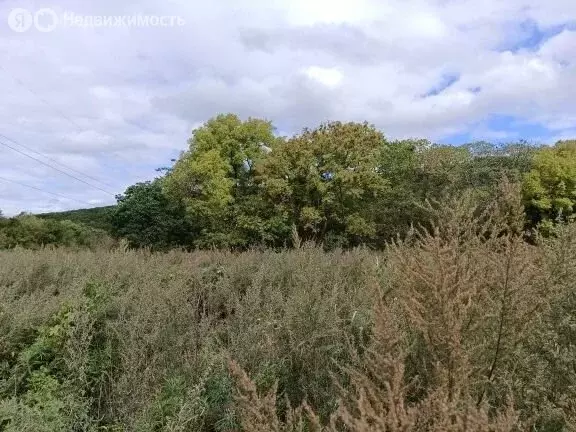 Участок в село Владимиро-Александровское, Южная улица (1000 м) - Фото 1