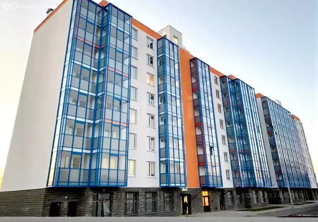 Квартира-студия: деревня Янино-2, Рябиновая улица, 5 (22 м) - Фото 2